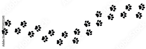 Vector paw trail of animal footprint. Dog, cat, puppy, fox, wolf tracks isolated on white background. Animal tracks in silhouette. Wild animal footsteps in eps 10.