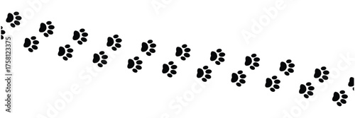 Vector paw trail of animal footprint. Dog, cat, puppy, fox, wolf tracks isolated on white background. Animal tracks in silhouette. Wild animal footsteps in eps 10.
