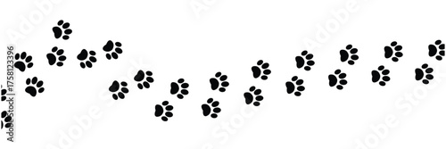 Vector paw trail of animal footprint. Dog, cat, puppy, fox, wolf tracks isolated on white background. Animal tracks in silhouette. Wild animal footsteps in eps 10.