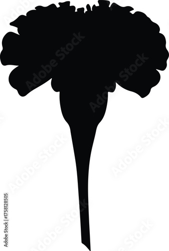 Vector Marigold flower blossom black monochrome floral silhouette Illustrator
