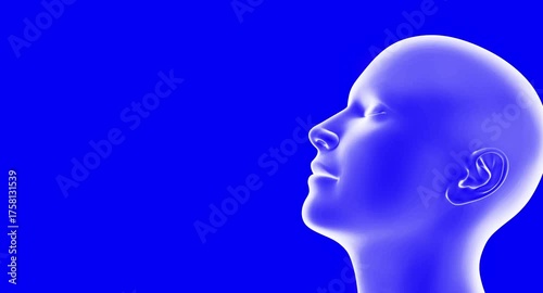 4K 3D Medical Animation of Human Nasal Breathing — Transparent Head Showing Airflow Through Nose and Sinus
