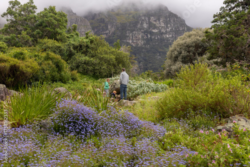 Father and Sons at Kirstenbosch Botanical Garden Cape Town