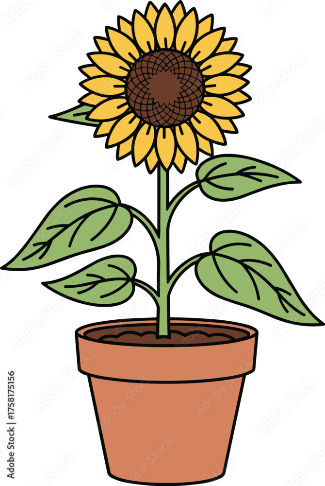 Obraz premium Vibrant Sunflower Growing in Terra Cotta Pot, Cheerful Indoor Plant for Home Decor, Symbolizing Summer, Optimism, and Sustainable Living, Decorative Floral Element for Garden Design, Botanical Illustr