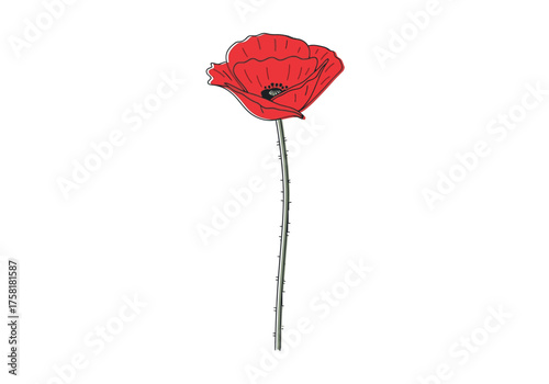 A single red poppy flower with a long, thin stem, illustrated in a simple, elegant style against a white background.