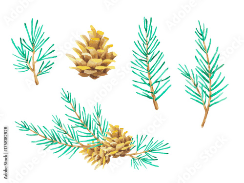 Hand painted watercolor pine cones