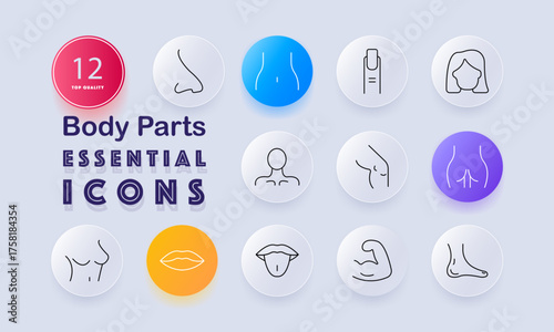 Body parts set icon. Nose, back, fingernail, head hair, ear, chest, buttocks, lips, tongue, arm muscle, elbow, foot sole, anatomical outlines