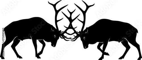 Bull elk fighting silhouette. This image shows two bull elks with large antlers locked in a fight, depicted in a black silhouette style. Vector clipart illustration design.