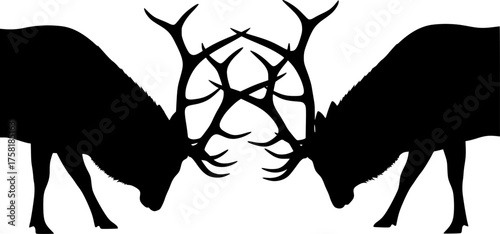 Bull elk fighting silhouette. This image shows two bull elks with large antlers locked in a fight, depicted in a black silhouette style. Vector clipart illustration design.