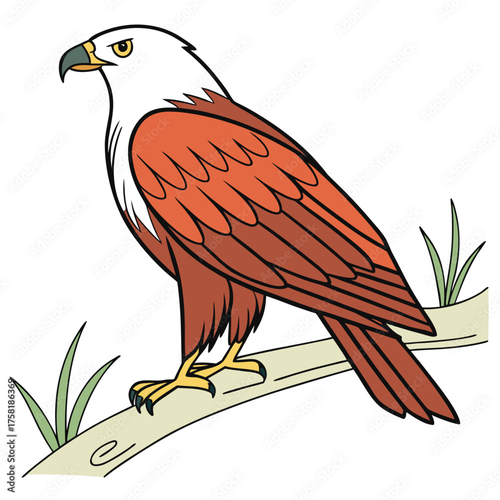 Fototapeta premium Illustration of a majestic eagle perched on a branch, showcasing its vibrant plumage and sharp features.