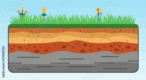 Cartoon Soil Profile with Grass and Flowers Illustration.