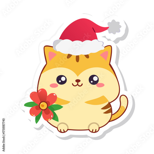 cat with a gift