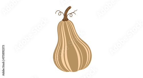 A ripe elongated gourd with subtle stripes hangs from a curling stem atop the squash.