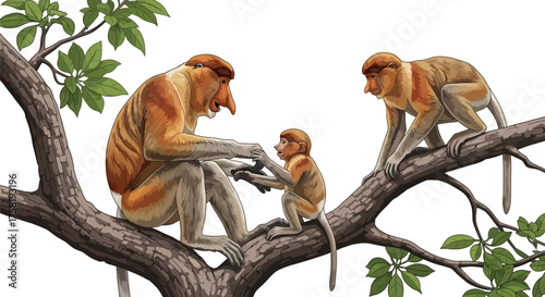 Family of Proboscis Monkeys on Tree Branch Interacting and Observing.
