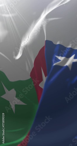 Bayelsa State Flag, Nigeria. Loop. 4K Vertical