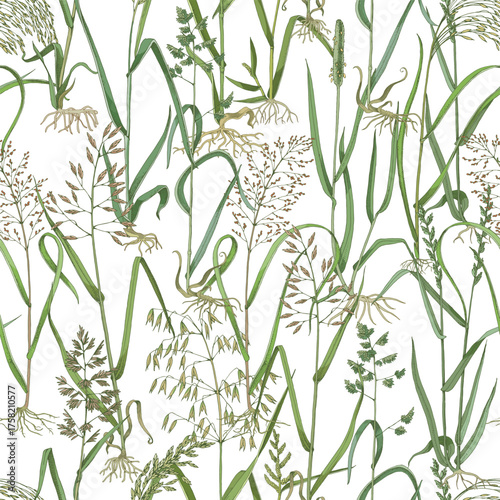 Wild grasses seamless pattern vector