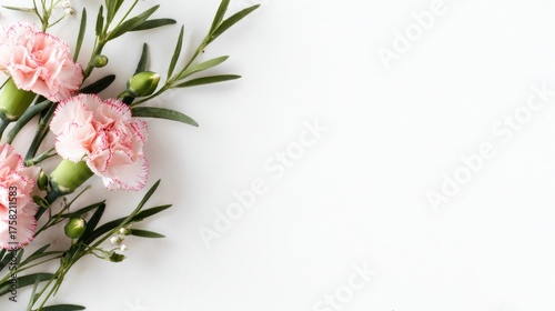 Delicate pink carnations with green foliage arranged on a white background.