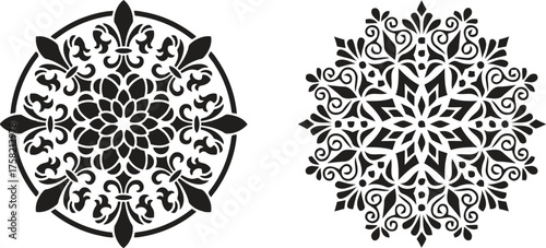 Two intricate symmetrical patterns evoke elegance and artistry isolated on a white background