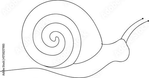 Simple black line drawing of a snail shell spiral