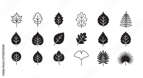Collection of stylized monochrome leaf icons isolated on white background