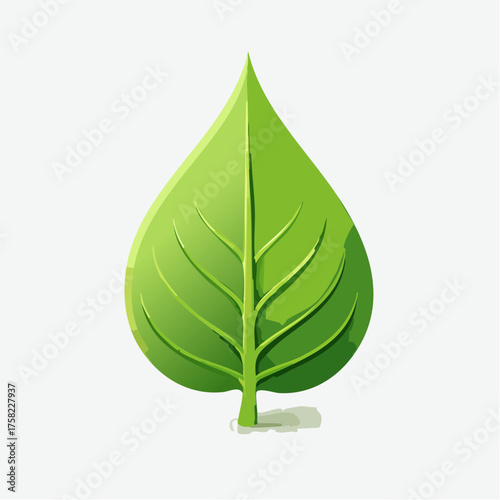 Illustration of a single vibrant green leaf with detailed veins and shadow