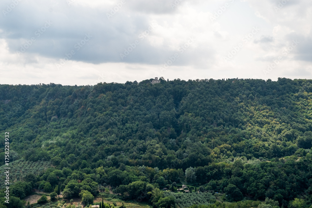 Fototapeta premium A densely forested hillside with a solitary estate at the top, partially hidden by trees.