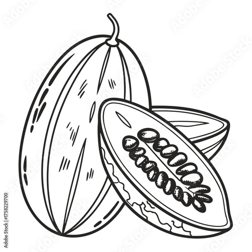 Bitter Melon Fruit Food Vector 