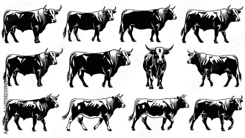Diverse Bull Illustrations A Collection of Black and White Vector Art