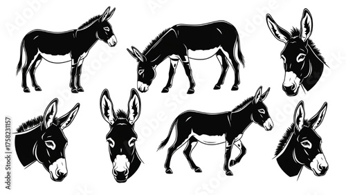 Collection of Black and White Illustrations of Donkeys in Various Poses