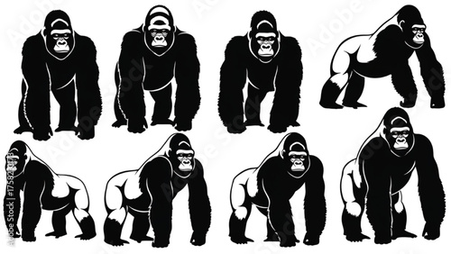 Strong Gorilla Poses Vector Illustrations of Powerful Primates