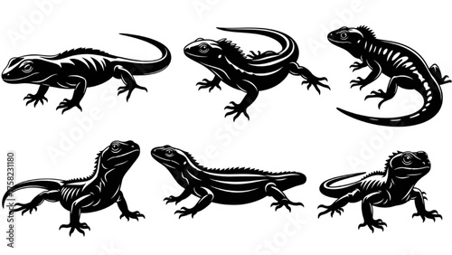 Six Black And White Silhouettes Of Lizards On A White Background