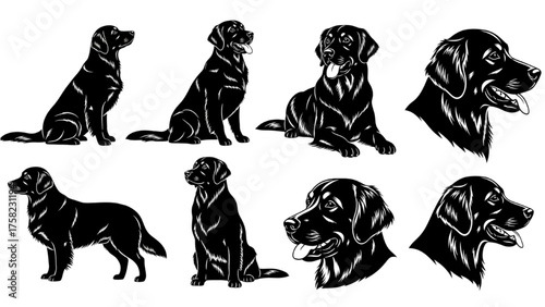 Various Black Labrador Retriever Poses in Silhouette Style