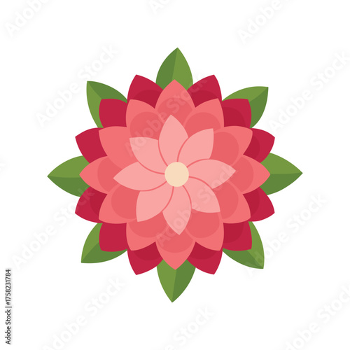 dahlia flower clean vector illustration