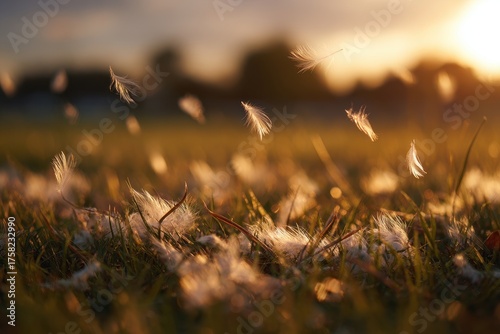 Whispering Feathers - Golden Hour Dance in a Meadows Embrace.