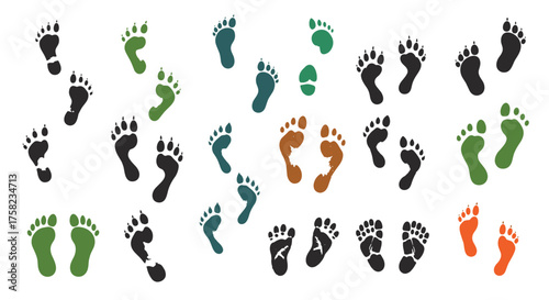 A collection of various animal and human footprints in different colors and sizes.