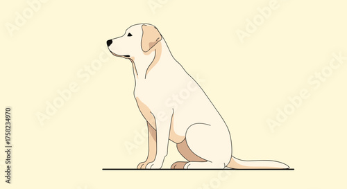 A light colored dog sits patiently in profile on a light yellow background.