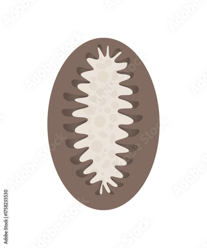 Karelian pie Karjalanpiirakka, traditional Finnish pasty made with rye crust and rice pudding.
