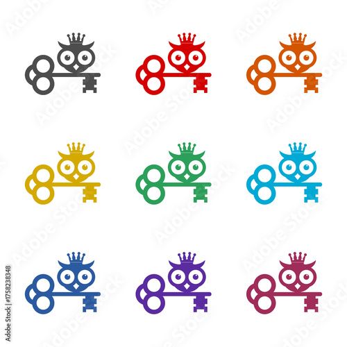 Owl with key and crown  icon isolated on white background. Set icons colorful