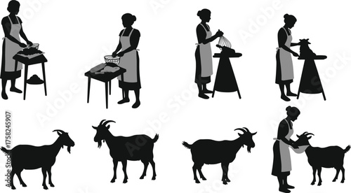 Traditional women cooking food and caring for goats vector illustration, rural lifestyle silhouettes, farming culture, agriculture, kitchen work, animal care