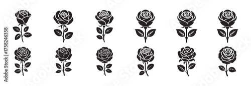 Elegant Vector Roses for Logo and Pattern Design