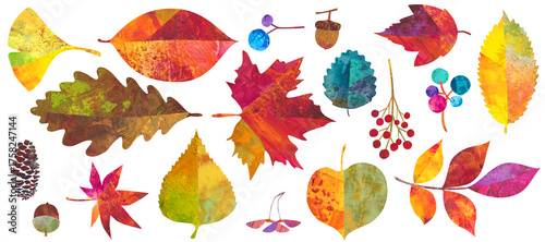 秋の紅葉した、森の自然素材イラストセット。紅葉やどんぐりなどの木の実。カラフルなペインティングテクスチャのイラスト。