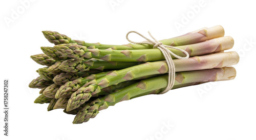 Tableau sur toile Isolated raw asparagus bunch, a delicious and nutritious green vegetable in its