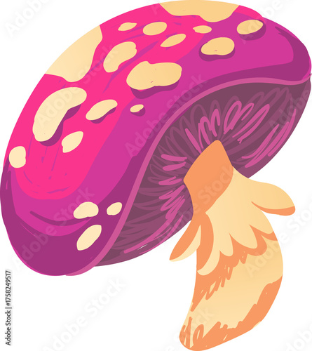 Retro hippie psychedelic mushrooms 