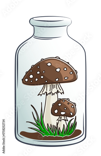 Forest mushrooms in a glass jar.