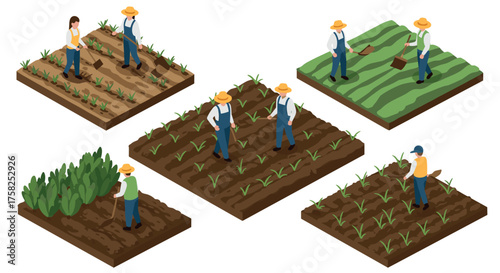 Isometric farming: farmers cultivating crops in varied fields with tools