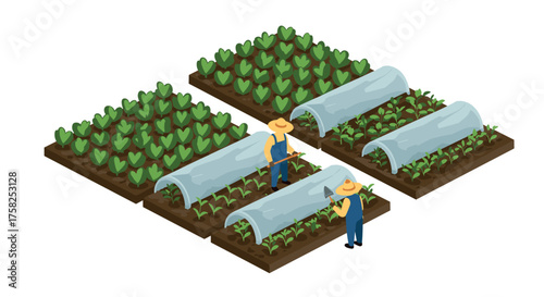 Isometric farming scene with farmers tending to crops and greenhouses