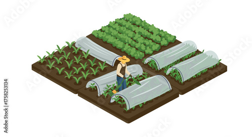 Isometric farming scene with farmer tending greenhouse plant beds