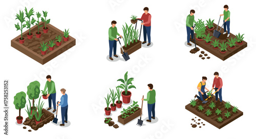 Isometric garden scenes: people planting and tending various garden beds