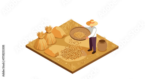 Farmer sorting harvested corn in isometric style rural scene