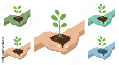 Hands holding seedling in various color palettes depicting growth and care