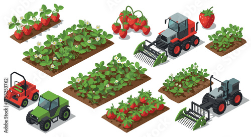 Isometric farming equipment and strawberry fields in modern agricultural design